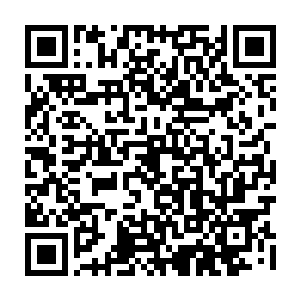 不知道躲在什么地方研究那个以蛊皇作为蓝本改造而成的超级召唤兽去了二维码生成