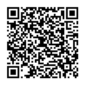 不知道这一次为什么又有成群结队的野狼在离城堡这么近的地方出现二维码生成