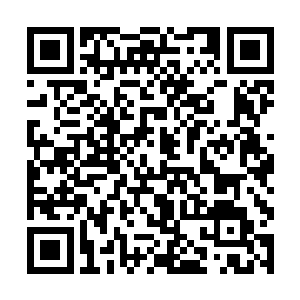 不管小神龙撒娇也好卖萌也好呵斥也好……都没用了二维码生成