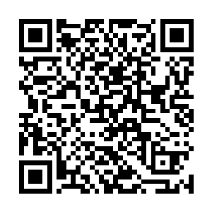 不管是伊人还是跟着他的十个人都被陈凌这一拳吓傻了二维码生成