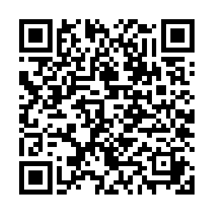 不管是给小石头扎玩具还是插在瓶子里做装饰都很好看二维码生成