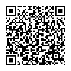 不管消息灵通还是不灵通的人都看到了大量战士在往城主府这边集中二维码生成