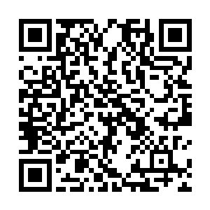不能站在党组书记沈加林和副县长王万均他们的战壕里二维码生成