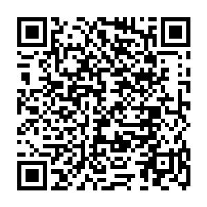 不被教训一下……是不会理解我们这些战斗力远超他们的战士究竟有多强大的二维码生成