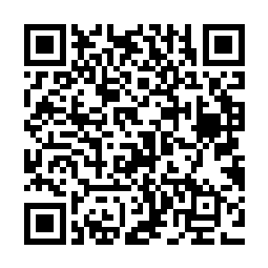 不该你们表现你们地精为了工程学的发展不惜一切的牺牲精神吗二维码生成