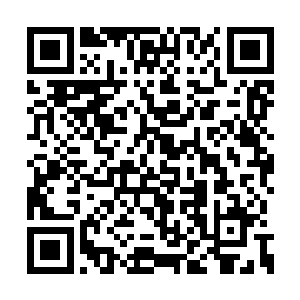 不说能不能在将来争夺城主之位时助他一臂之力二维码生成