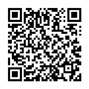 不过…你为什么会拿着珍宁公主的金钗去杀那个女人二维码生成