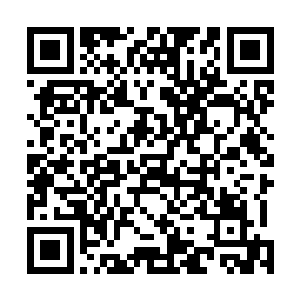 不过一元宗的掌门似乎也非常了解他的这些同门在想什么二维码生成