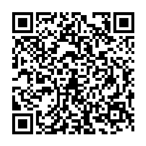 不过东大陆神血战士和智慧种族都不是西大陆上的无角人那么可欺二维码生成