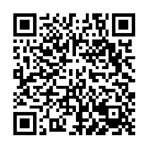 不过他也对自己如此忌惮陆为民在宋州的表现而感到愤怒二维码生成
