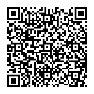 不过他也立即接到那些一直关注着他与流墨墨情况的探子们纷纷离开胆儿交易所的情报二维码生成