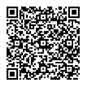 不过他们的兴奋的表情没有持续多久忽然发现了周围的环境一下子发生了巨大的变化二维码生成