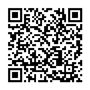 不过他倒是很相信陆为民自己在这里边有什么牵缠二维码生成