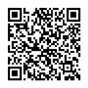 不过他却不知道两人可不是什么后期巅峰的修士二维码生成