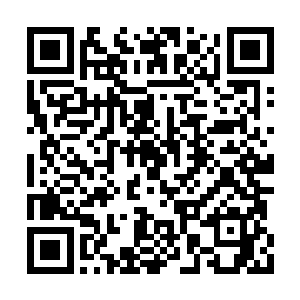 不过他本来也没期待第三个弟子是什么光明磊落二维码生成