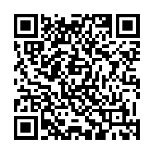 不过他现在已经使用感应万物的力量确定了那些人的长相二维码生成