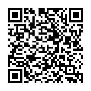 不过以后显然让大家都能拟补了对抗非剑类武器的技巧二维码生成