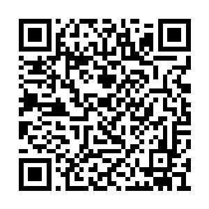 不过你可以找一找劝说小公主参加生存游戏的人二维码生成