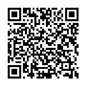 不过公墓管理方并没有刻意标注他们的墓碑位置二维码生成