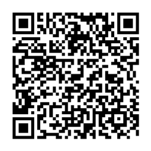 不过几次回来的时候摸它身上的毛底层还都是热乎的慢慢的就放心了二维码生成
