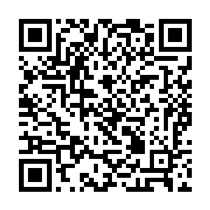 不过凭你现在的这点实力要想杀老夫依然是痴人做梦二维码生成