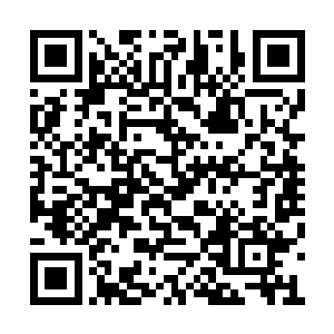 不过包括凤族王者一脉都只将这个说法视为传说二维码生成