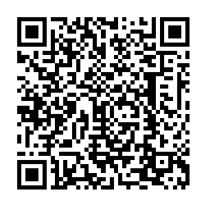 不过原本在龙傲天看来无比恐怖的攻击此时竟然只是让鸿蒙塔微微的颤抖了一下二维码生成