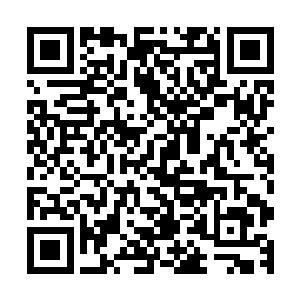 不过参与其中的黑龙司众人一想到有可能要见到传说中的天帝二维码生成