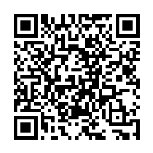 不过吃了亏之后它立刻明白自己招惹了不该招惹的敌人二维码生成