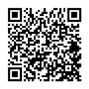 不过听说昨晚你们日理万机的国王陛下还出去散步了二维码生成