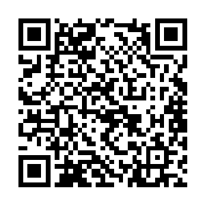 不过在他看到自己的射击被杨明治一个不差地拦截二维码生成