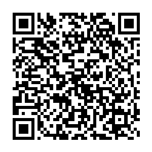 不过在坐的斯宾塞家族的其他成员脸上都没有任何的不满与其他表示二维码生成