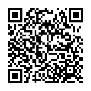 不过在感觉到流墨墨只是在吞噬他体内满溢的能量时二维码生成
