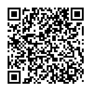 不过她很快就想到了先前若雨所说的……关于以前来过这个世界的事二维码生成