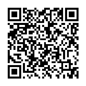 不过她现在充其量也就是跟部落其他女人的食量差不多二维码生成