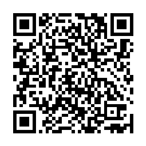 不过宇文雍的本意的确是只穿一件紫金法衣跟代离一战二维码生成