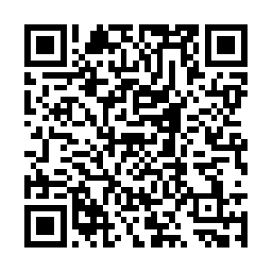 不过对于蛇夫圣骑的实力在场的人都是有目共睹的二维码生成