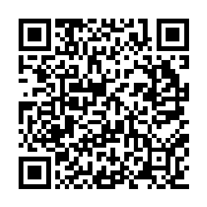 不过对于这些被强行改造成伪天魔生物的人来说二维码生成