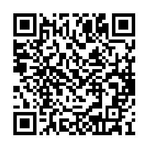 不过巨蟹圣骑和天蝎圣骑也是没有下狠手的样子二维码生成