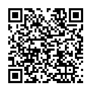 不过当他们一看到剑尘手中那根已经沾满鲜血的铁棍时二维码生成