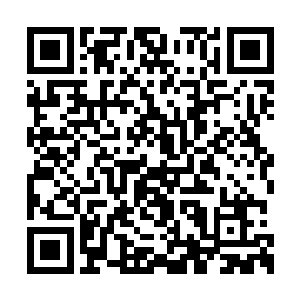 不过想要开发这种能力也是需要很多时间钻研的二维码生成