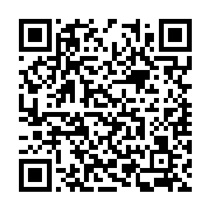 不过我们怎么能肯定小尼尔萨普两兄弟会同时到达二维码生成
