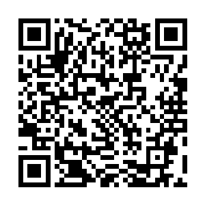 不过是仗着和黄门郎共事日久打算亲自前来向老太君请教二维码生成