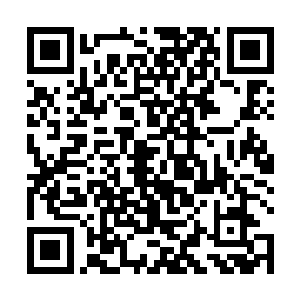 不过晚上的时候丁羽还是在自己的住所里面见到了高捷二维码生成