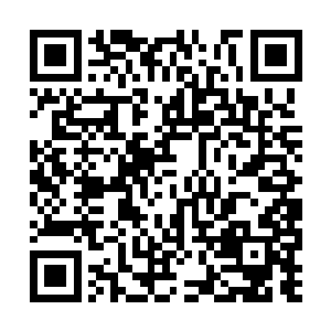 不过更有趣的就是白芷璃居然直接说出这这样的话二维码生成