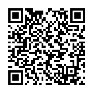 不过有关终结者剧情的结局内容其实已经做出来了二维码生成