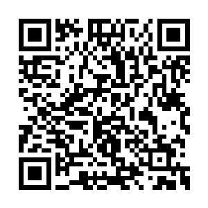 不过木洞奥林匹克会场已经聚集了不少的粉丝了二维码生成