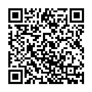 不过杨晨的混沌吞天诀在这里却可以肆无忌惮的施展二维码生成