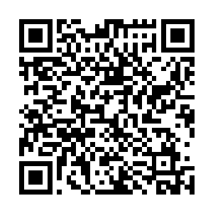 不过林封谨虽然插手不上谭奉沙和野猪在精神层面上的比拼二维码生成