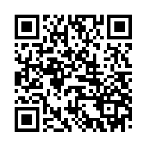 不过样子看上去使用的法宝都是五huā八门的二维码生成